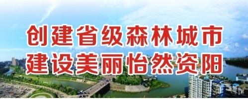 爆操美女逼流水视频创建省级森林城市 建设美丽怡然资阳